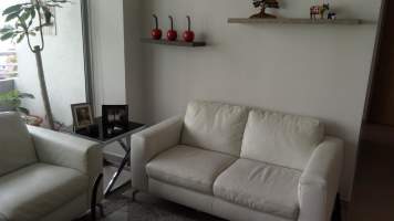 Citrus San Francisco, Panamá