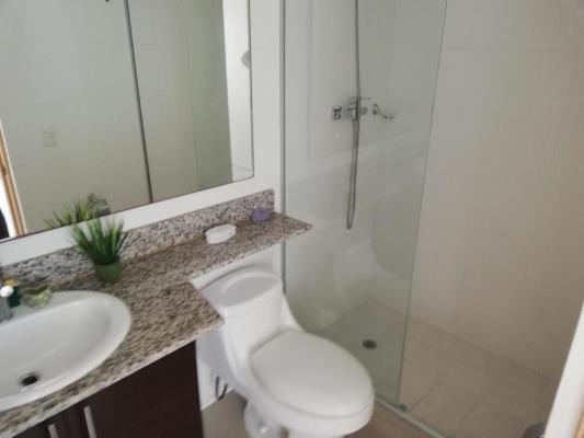 Citrus, Apartamento en alquiler en San Francisco | Citrus -  P2500029