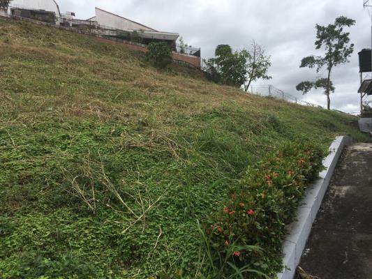 , Terreno en venta en Betania | P2508149