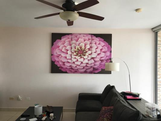 , Apartamento en alquiler en Pueblo Nuevo | P2508534