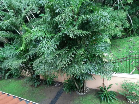 CLAYTON VILLAGE, Panamá