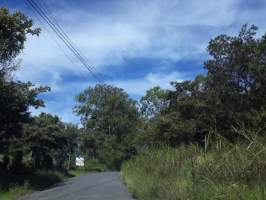 Plaza de Caisan Renacimiento