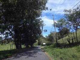 Plaza de Caisan Renacimiento