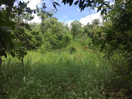 , Terreno en venta en Caldera | P2534329