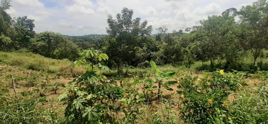 , Terreno en venta en El Coco | P2540951