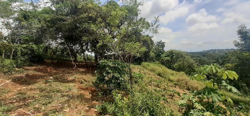 , Terreno en venta en El Coco | P2540951