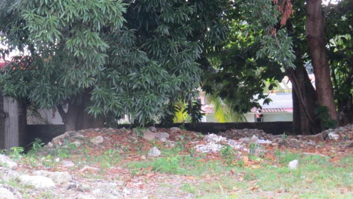 , Terreno en alquiler en Parque Lefevre | P2542869