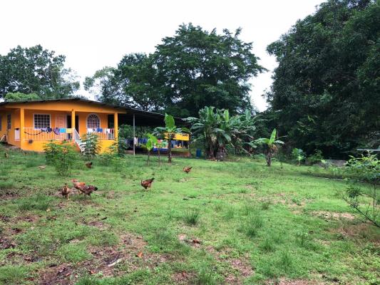 , Terreno en venta en Vista Alegre | P2542988