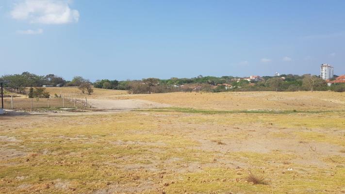 , terreno