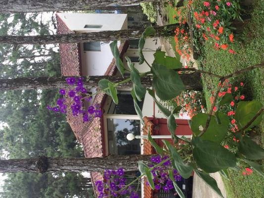 Altos de Cerro Azul, Casa en venta en Pacora | Altos de Cerro Azul -  P2544353