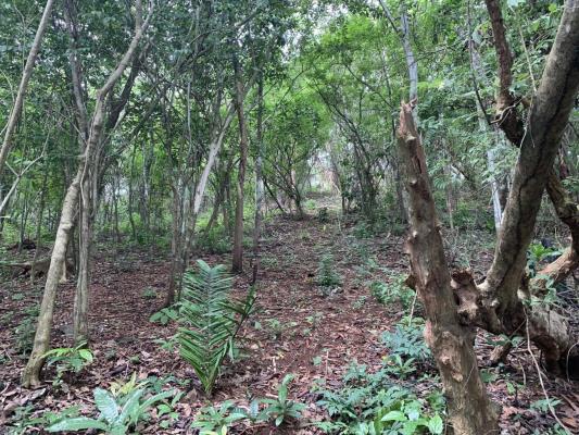 , Terreno en venta en Chilibre | P2546964