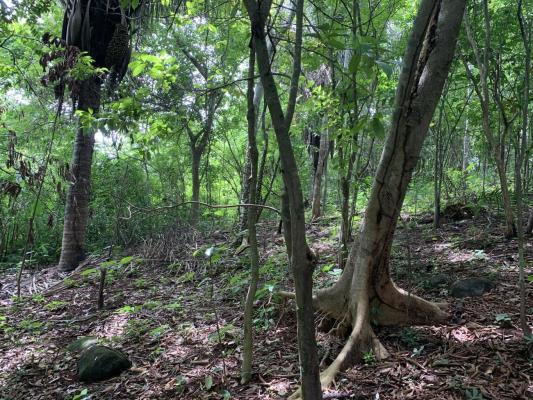 , Terreno en venta en Chilibre | P2546964