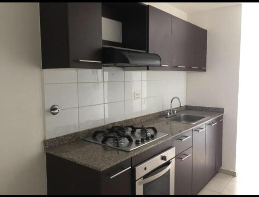 Alsacia Towers, Apartamento en alquiler en Amelia Denis De Icaza | Alsacia Towers -  P2547944