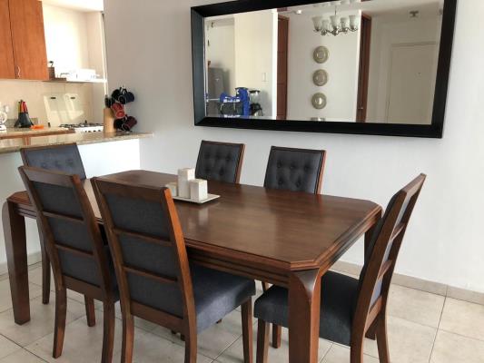 Terrawind, San Francisco