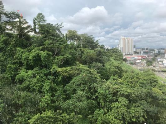 Urbis Tower, apartamento