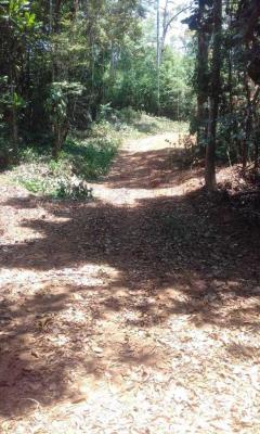 , Terreno en alquiler en Chilibre | P2553551