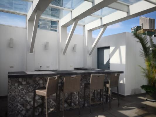 The One Tower , Área Metropolitana