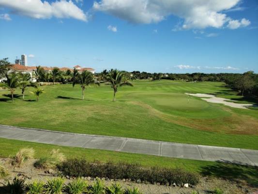 , Área Metropolitana