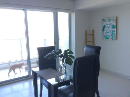 , Área Metropolitana