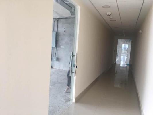 , Terreno en alquiler en Avenida Balboa | P2572248