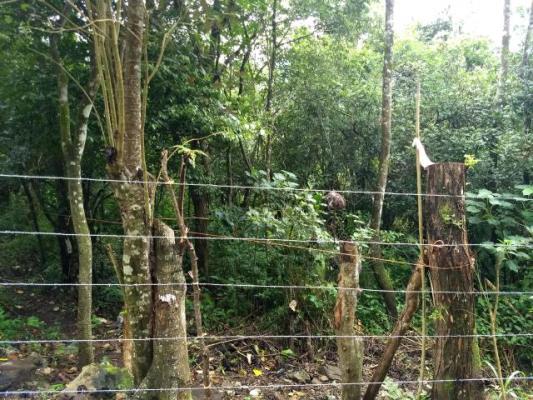 , Terreno en venta en Coclé | P2573200