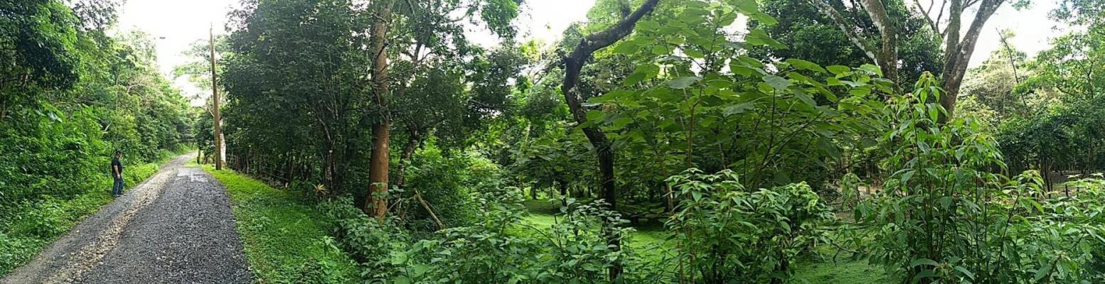 , Terreno en venta en Coclé | P2573200