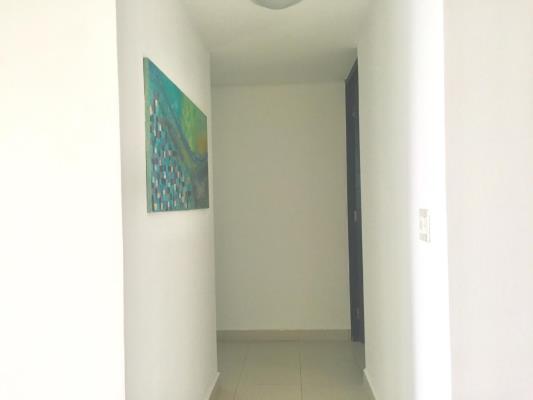 , Área Metropolitana