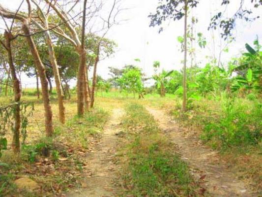 , Terreno en venta en La Ermita | P2585163