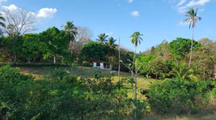 , Terreno en venta en Hicaco | P2599527