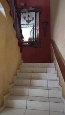 , Amelia Denis De Icaza