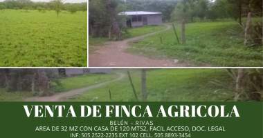 Panamá Pacífico Arraiján