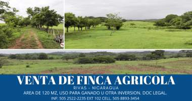 Panamá Pacífico Arraiján