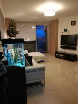 Central Park, Área Metropolitana