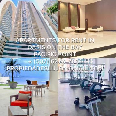 Oasis on the Bay, Área Metropolitana