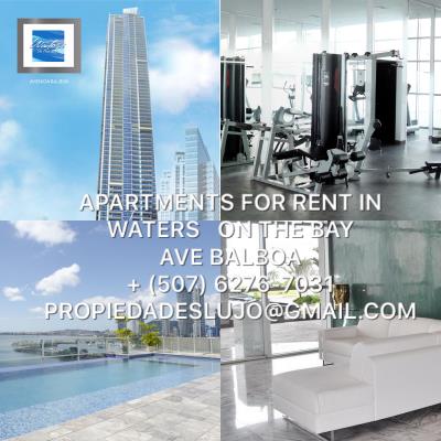 Waters on the bay, Área Metropolitana