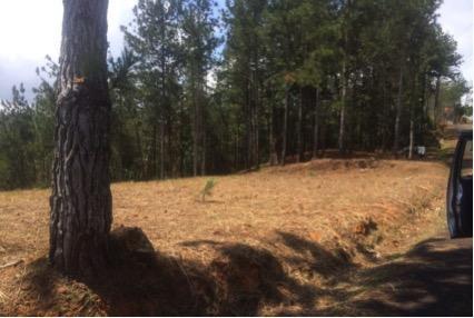 , Terreno en venta en Pacora | P2623817