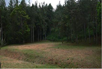 , Terreno en venta en Pacora | P2623817