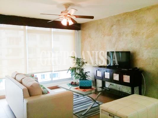 Mediterraneo Loft, Área Metropolitana