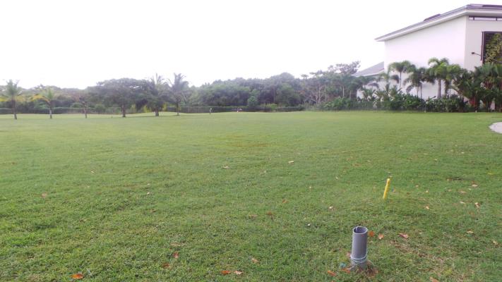 , Área Metropolitana