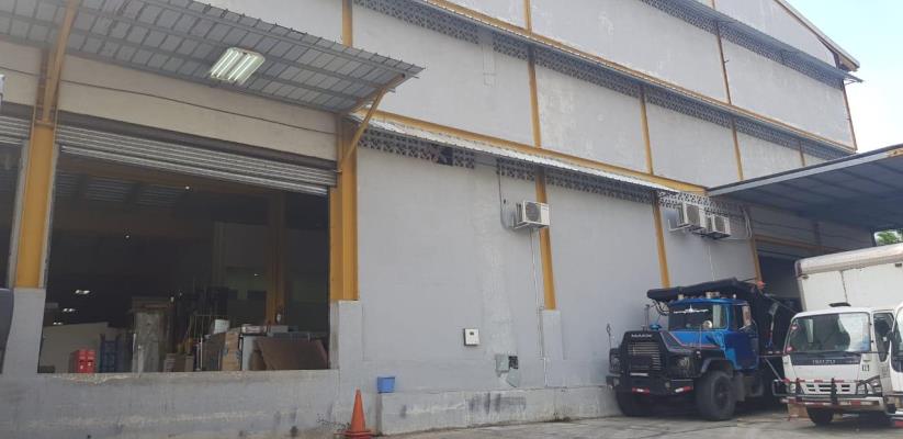 , Terreno en alquiler en Calidonia | P2657648