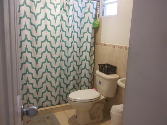 Arboledas, Las Magnolias , Barrio Colón