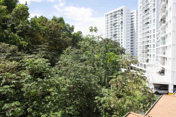 Clayton Park, Ancón