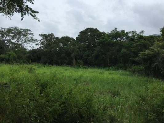 , Terreno en alquiler en Arraijan | P2687118