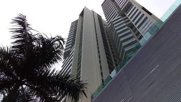 ymal