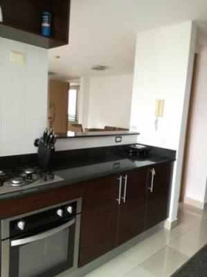 Citrus, San Francisco