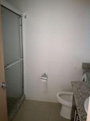 Citrus, San Francisco