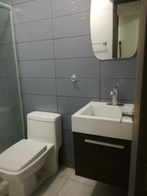 Metropolitan Park, Área Metropolitana