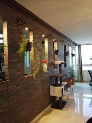 , Área Metropolitana