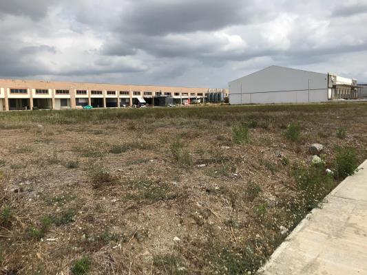 Parque Industrial Las Americas, Terreno en alquiler en Pacora | Parque Industrial Las Americas -  P2724624
