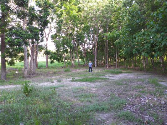 , Terreno en alquiler en Bejuco | P2727200